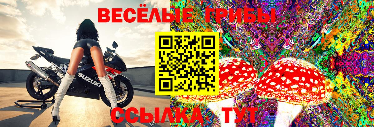 Электрогорск  Галлюциногенные грибы мухоморы  Вход с VPN  Галлюциногенные грибы Psilocybe 